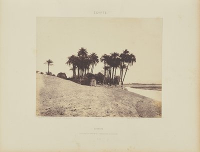 Luxor. Tâmaras e Jardim da Expedição de Luxor de Félix Teynard