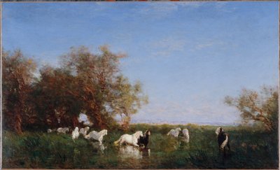 Cavalos selvagens na Camargue, entre 1890 e 1895 (óleo sobre tela) de Félix Ziem
