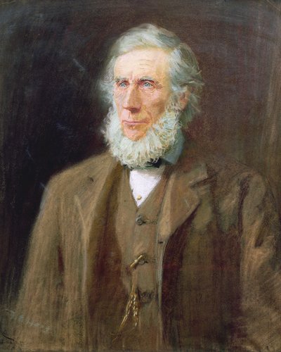 Retrato de John Tyndall (1820-93) (pastel sobre papel) de Florence E. Haig