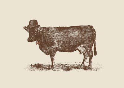 Porca de vaca de Florent Bodart