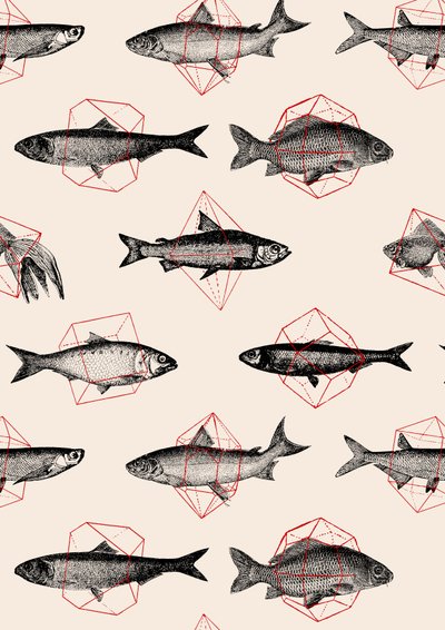 Peixes em Geometria de Florent Bodart