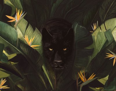 Olá Pantera, 2020 (digital) de Florent Bodart