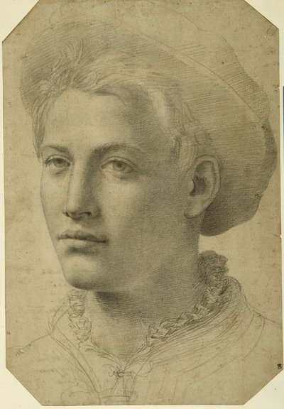 Cabeça de retrato de um jovem usando boné, c.1530-40 (giz preto sobre papel branco) de Florentine School