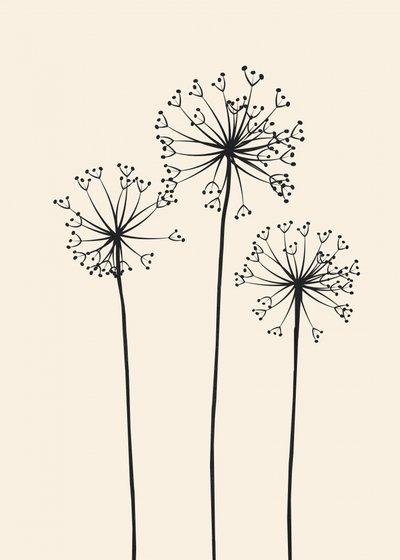 Flores de dente-de-leão minimalistas de Flow Line