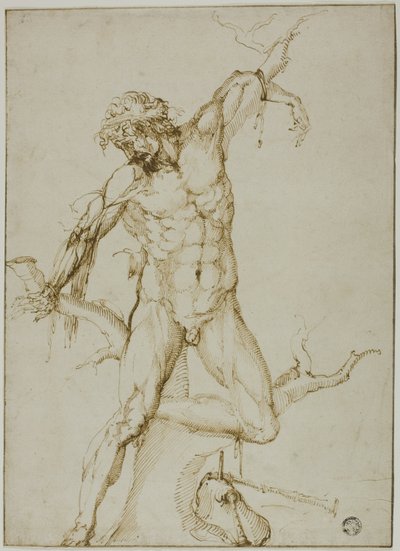 Marsyas amarrado a uma árvore de Follower of Baccio Bandinelli