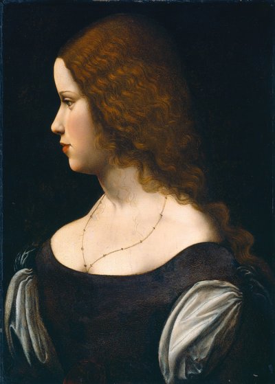 Retrato de uma jovem senhora de Follower of Leonardo da Vinci