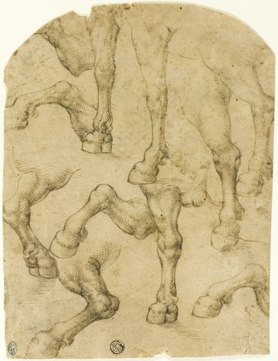 Esboços de patas de cavalos (ou dromedários) (frente); colunas (verso) de Follower of Leonardo da Vinci