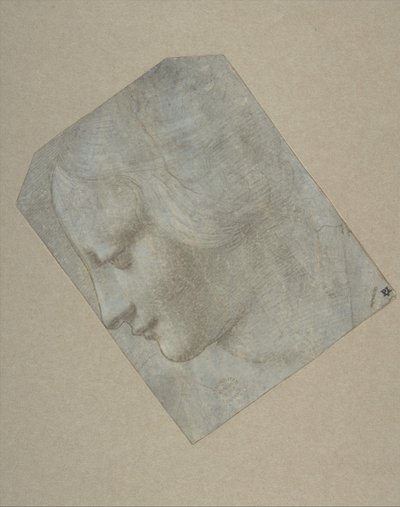A cabeça de uma mulher de perfil voltado para a esquerda, 1490-1500. de Follower of Leonardo da Vinci.