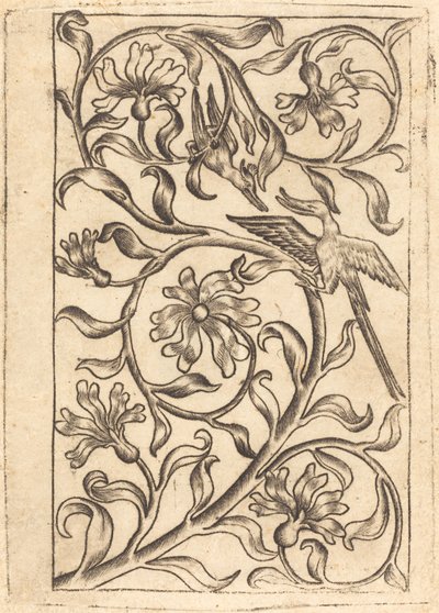 Ornamento de videira com dois pássaros de Follower of Master of the Playing Cards