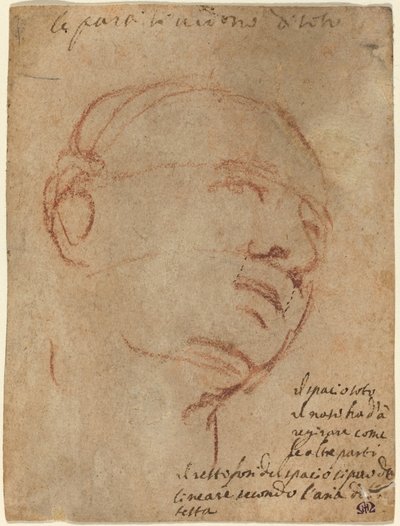 Cabeça de um homem de Follower of Michelangelo
