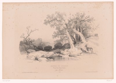 Paisagem rochosa com água e dois veados Curso de desenho com estudos de paisagens, animais e detalhes (título da série) Curso o projeto. Paysages, figures, animaux, acessórios, par Férogio (título da série no objeto) de Fortuné Ferogio