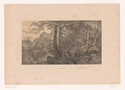 Dois caçadores em uma floresta nos Pirineus Caça nos Pirinéus / Caça nos Pirinéus / Cazadores de los Pirinéos (España) (título no objeto) Figuras em uma paisagem (título da série) de Fortuné Ferogio
