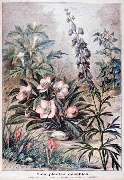 Plantas prejudiciais, 1897 de Fortuné Méaulle