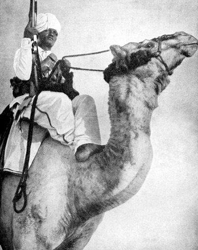 Guerreiro do deserto da África, 1936. de Fox Photos