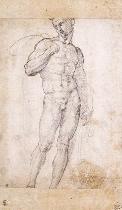 Um nu segurando um cabo sobre seus Shoudlers, de Fra Bartolomeo