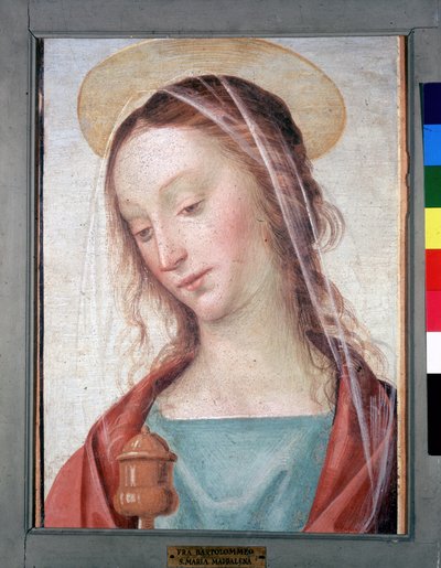 Imagem desconhecida de Fra Bartolomeo