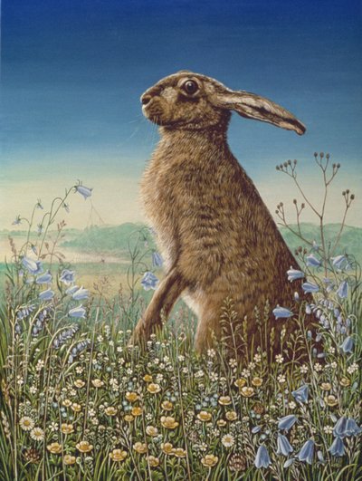 Lebre, 1984 (óleo e têmpera no painel) de Frances Broomfield