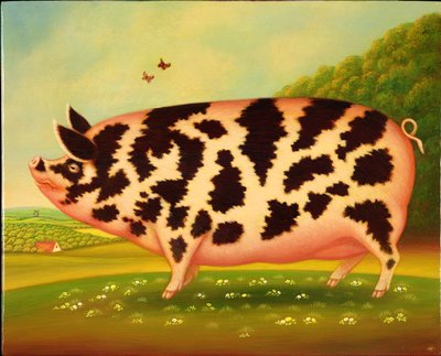 Old Spot Pig, 1998 (óleo e têmpera no painel) de Frances Broomfield