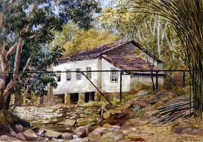 Índias Ocidentais Britânicas (aguarela sobre papel) de Frances C. Fairman