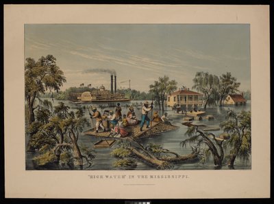 Água alta no Mississipi de Frances Flora Bond (c.1812 76) Palmer