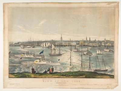 Vista de Nova York de Brooklyn Heights, 1849. de Frances Flora Bond Palmer