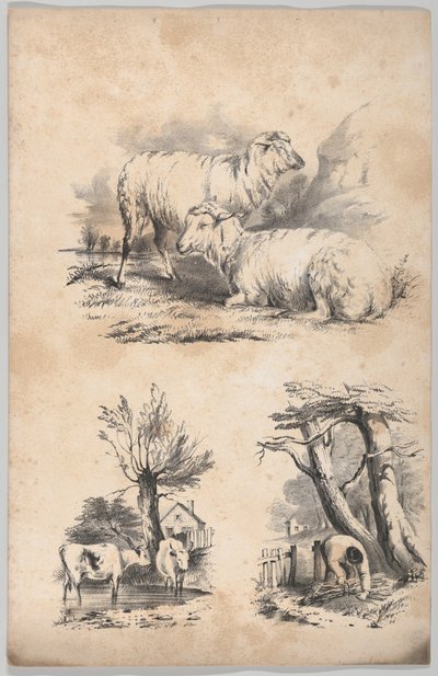 Vinheta com duas ovelhas, Vinheta com duas vacas na piscina e Vinheta de um lenhador..., 1847. de Frances Flora Bond Palmer