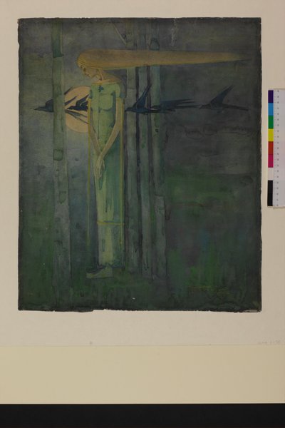 "Ill Omen", ou "Garota no East Wind com Ravens Passando a Lua" 1893 de Frances Macdonald