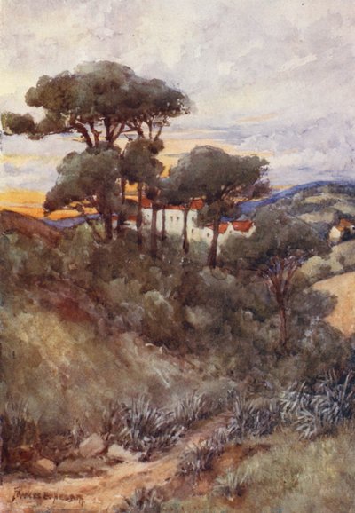 Stone Pines, Argel (litografia a cores) de Frances Nesbitt