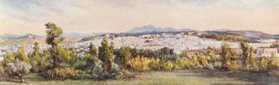 Túnis do Belvedere (litografia a cores) de Frances Nesbitt