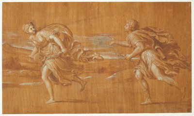 Apollon verfolgt Daphne de Francesco Albani