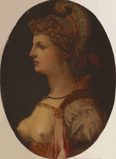 Retrato ideal de uma senhora Retrato de Vittoria Colonna. de Francesco Bacchiacca