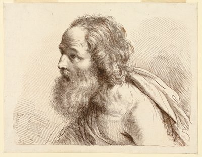 Retrato de um velho com barba, com ombros nus de Francesco Bartolozzi