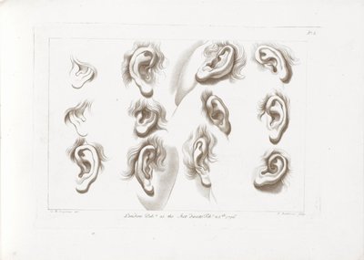 Doze orelhas Princípios de Desenho de Cipriani (título da série) Rudiments of Drawing de Cipriani (título da série) de Francesco Bartolozzi