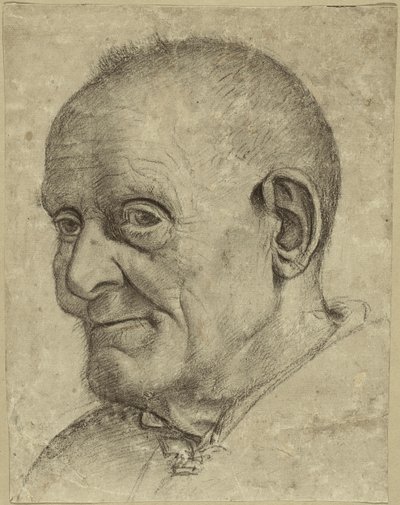 Retrato de um velho de Francesco Bonsignori