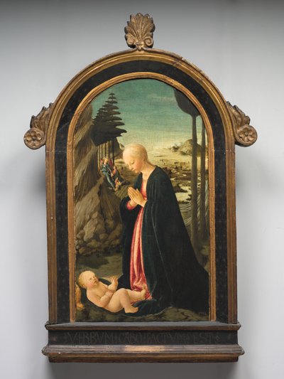 Madonna e criança com Tobias e o anjo Raphael de Francesco Botticini