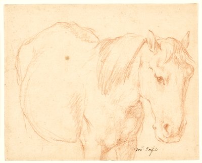 Um cavalo de Francesco Fernandi