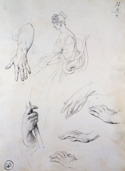 Estudo para Retrato de Cristina Trivulzio Belgiojoso de Francesco Hayez