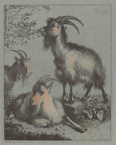 Três cabras de Francesco Londonio