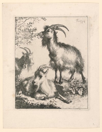 Três cabras de Francesco Londonio