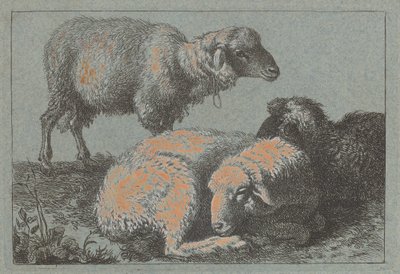 Duas Ovelhas Reclinadas e uma Ovelha em Pé, 17571758. de Francesco Londonio