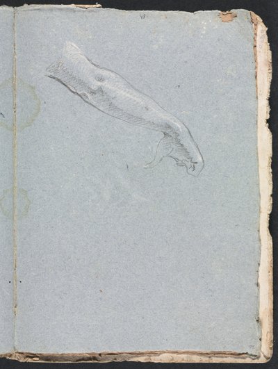 Caderno de desenho de Verona: Braço e mão direita, página 95, 1760. de Francesco Lorenzi