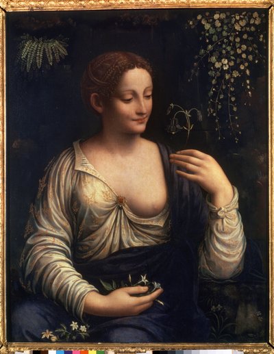 ""Flore"" (Flora) Pintura de Francesco Melzi (1493-cerca de 1570) 1510-1515 Dim. 76x63 cm Museu Hermitage de São Petersburgo de Francesco Melzi or Melzo