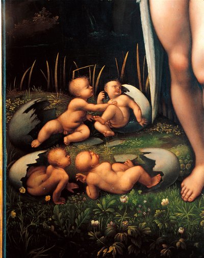 Leda e o cisne (pormenor) de Francesco Melzi or Melzo