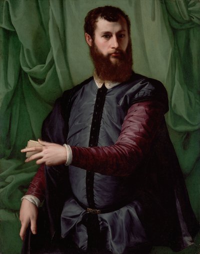 Retrato de um homem de Francesco Salviati