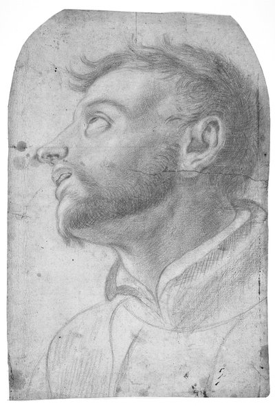 Cabeça de um homem olhando para cima de Francesco Solimena