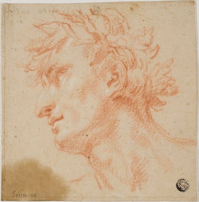 Perfil de cabeça masculina, coroada com folhas de louro de Francesco Solimena