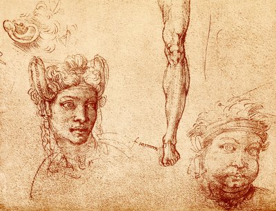 Estudos de cabeça e perna de Francesco Ubertini Bacchiacca