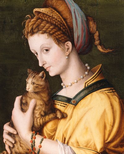 Senhora com um gato, c.1525-30 de Francesco Ubertini Bacchiacca