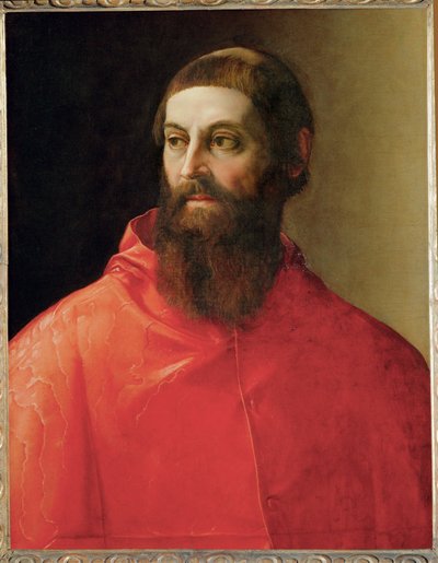 Cardeal Rodolfo Pio (pintura sobre tela) de Francesco de Rossi Salviati