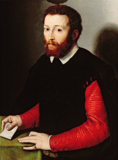 Retrato de um homem segurando uma carta, c.1530-40 de Francesco de Rossi Salviati Cecchino